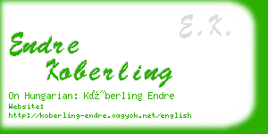 endre koberling business card